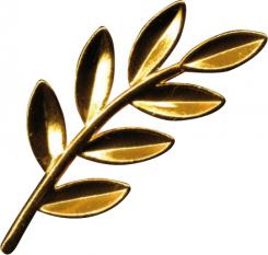 Branche d'acacia branche d'acacia ; acacia