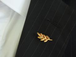 Branche d'acacia sur veste branche d'acacia ; acacia